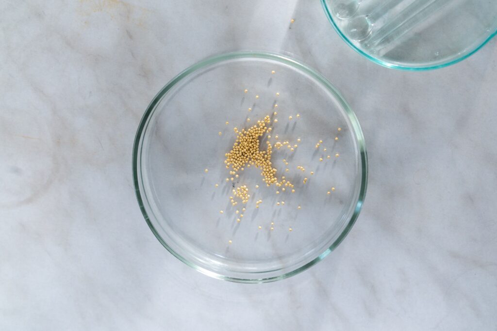 Top view of mustard seeds in a clear petri dish on a marble surface.
